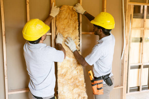 Best Wall Insulation Installation  in Turlock, CA